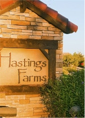Business Broker For Companies in Hasting Farms